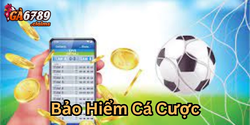 Bảo hiểm cá cược là gì?