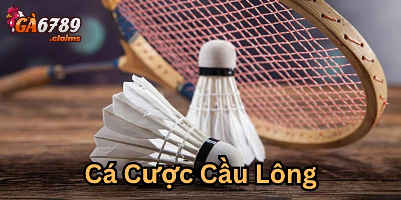 Cách đọc trận đấu trong cược cầu lông