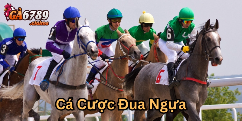 Cách đọc tỷ lệ kèo trong Cá Cược Đua Ngựa