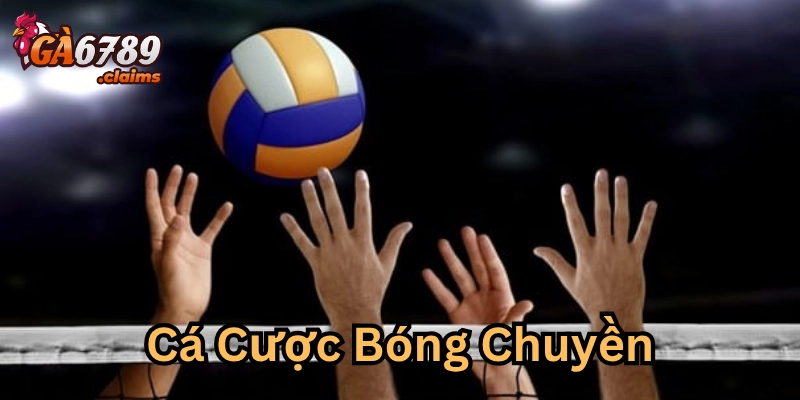 Cá Cược Bóng Chuyền – Bí Quyết Tăng Tỷ Lệ Thắng Từ Ga6789
